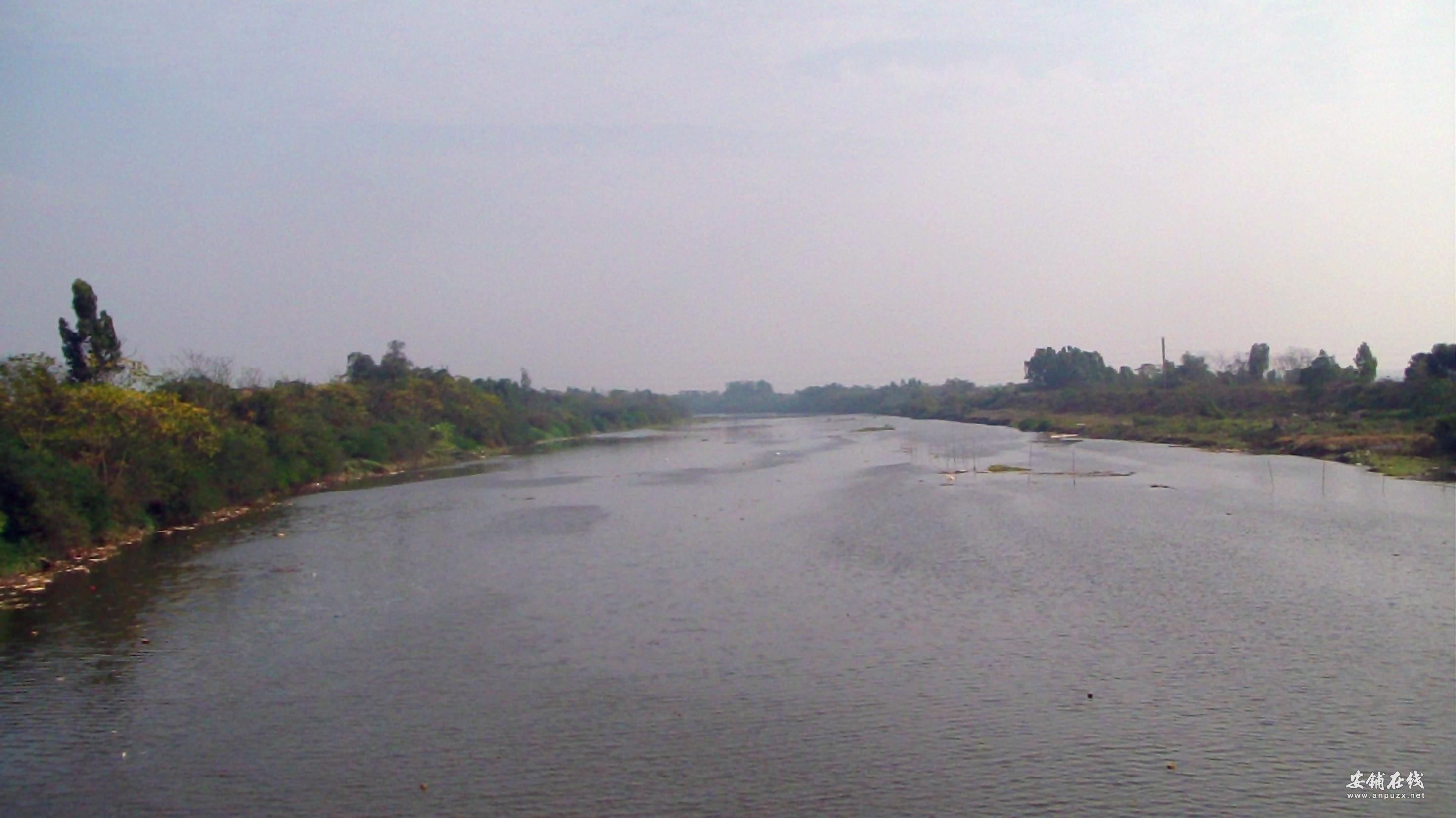 SAM_0559.JPG