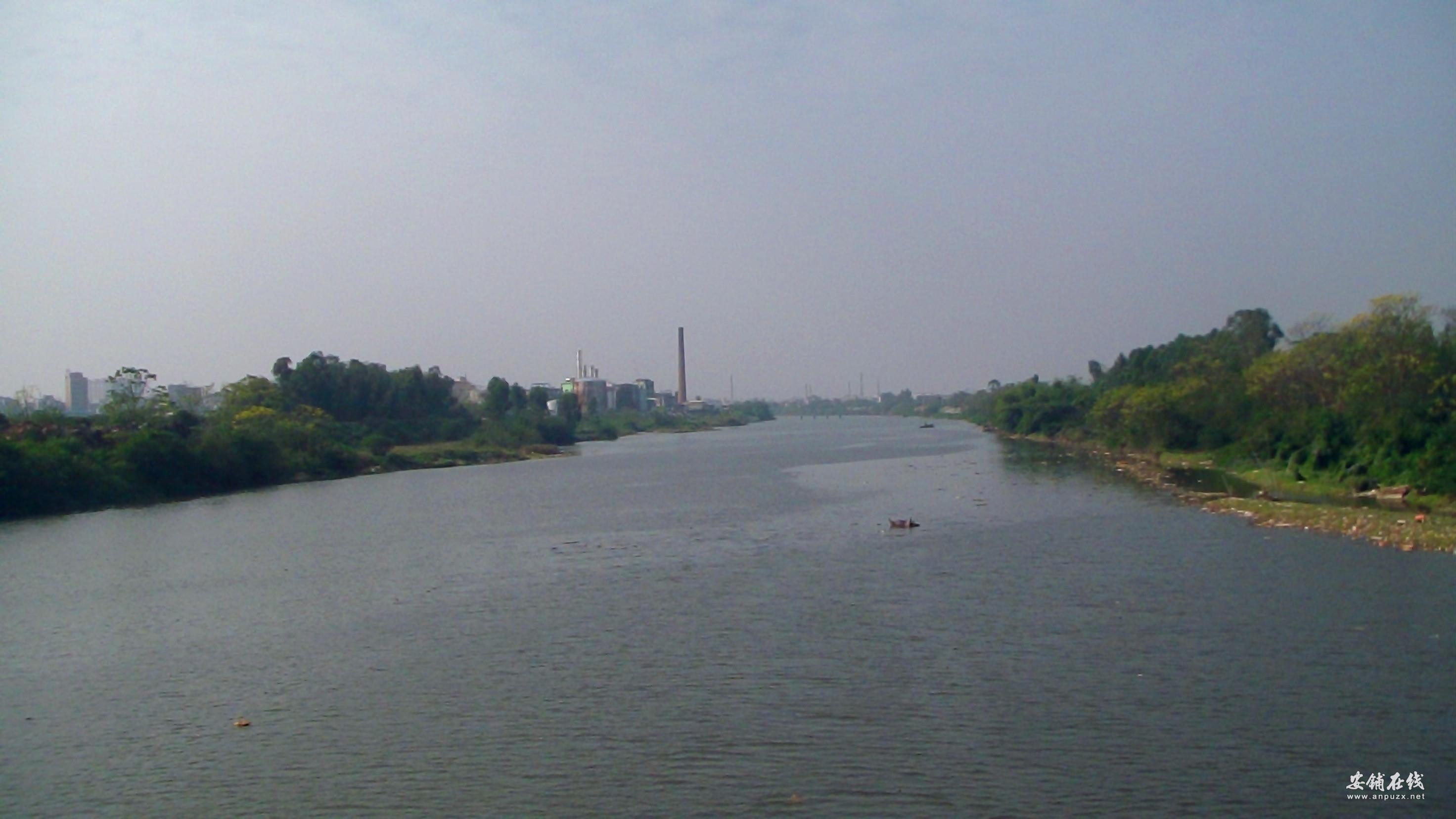 SAM_0556.JPG