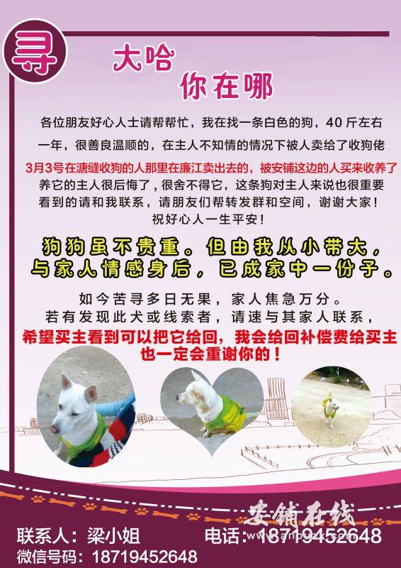 QQ图片20170315231727.jpg QQ图片20170315231727.jpg