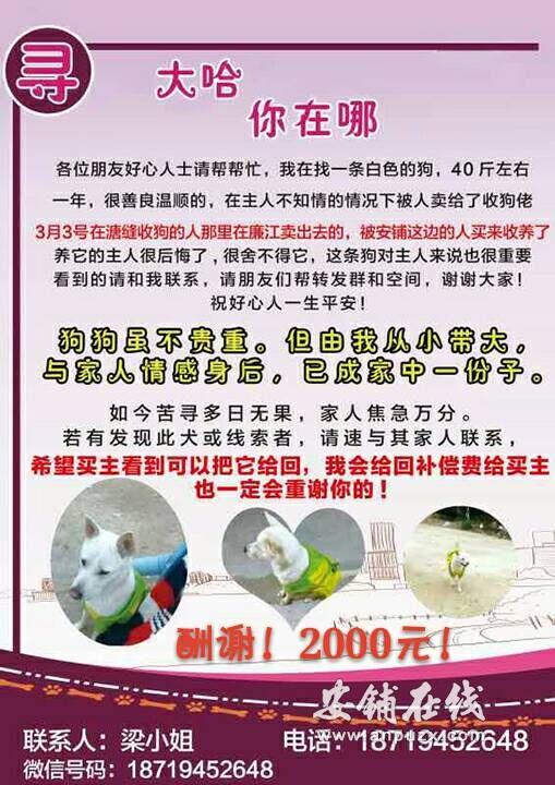 QQ图片20170317181224.jpg QQ图片20170317181224.jpg