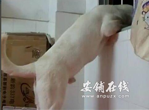 QQ图片20170320162719.jpg
